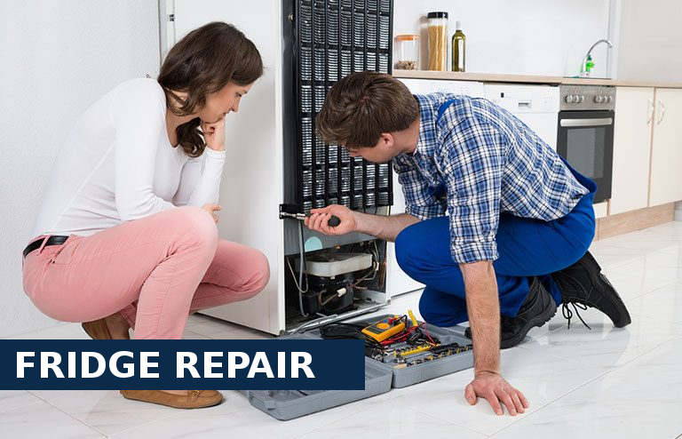 Fridge Repair Tottenham
